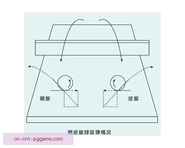 乒乓球初学者完全指南，基本技巧和规则详解