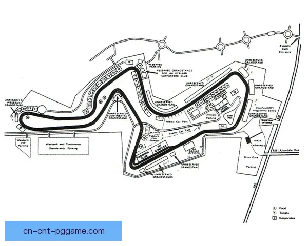 F1车手对战战术解析及赛道策略研究