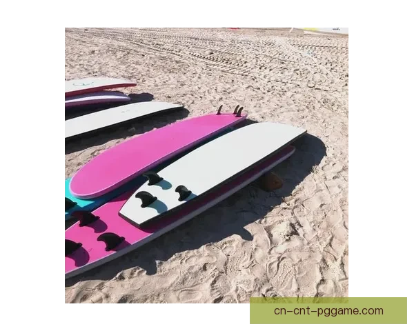 初学者冲浪指南：轻松掌握入门技巧