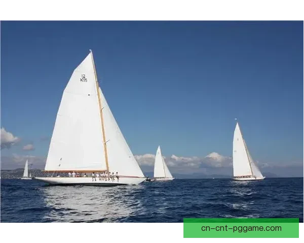 帆船比赛规则解析与技巧分享
