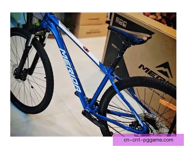 山地车骑行技巧与装备选择实用指南