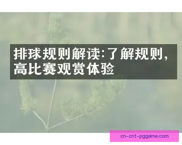排球比赛规则解读及常见疑问答疑